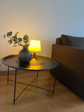 Center two bedroom apartment